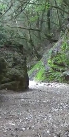 &Uuml;berqueren Sie das Grand Canyon von Gargano